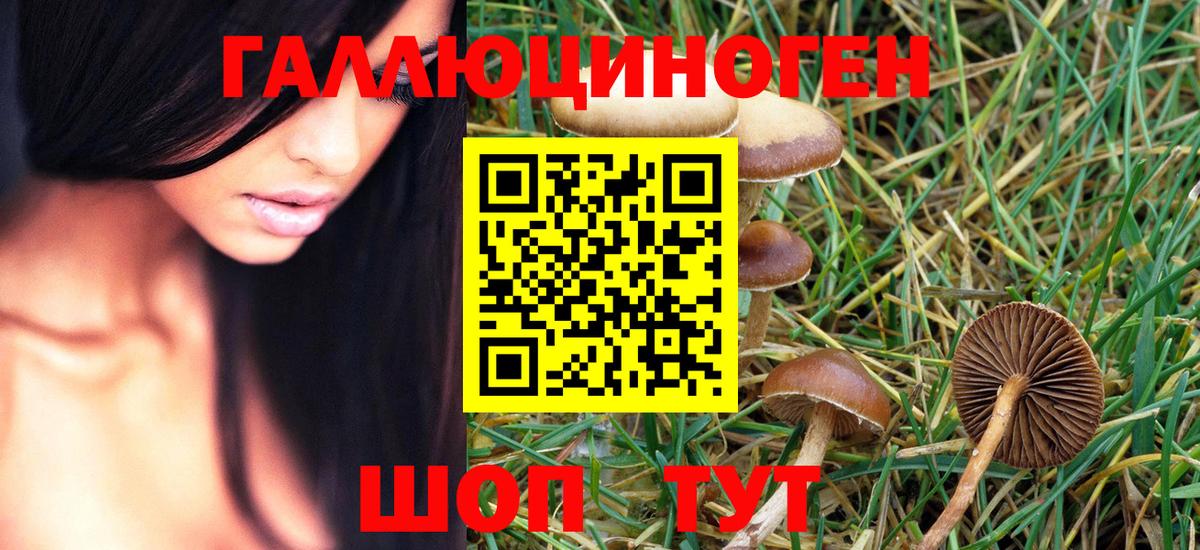 Галлюциногенные грибы Magic Shrooms  Псилоцибиновые грибы Psilocybine cubensis  Махачкала  Вход с VPN 
