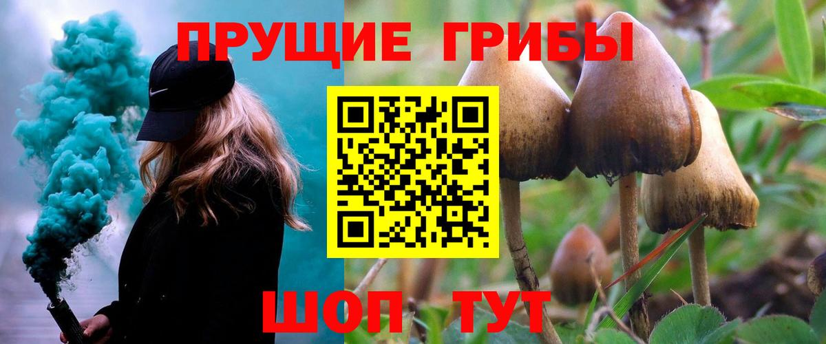 Галлюциногенные грибы мухоморы Махачкала